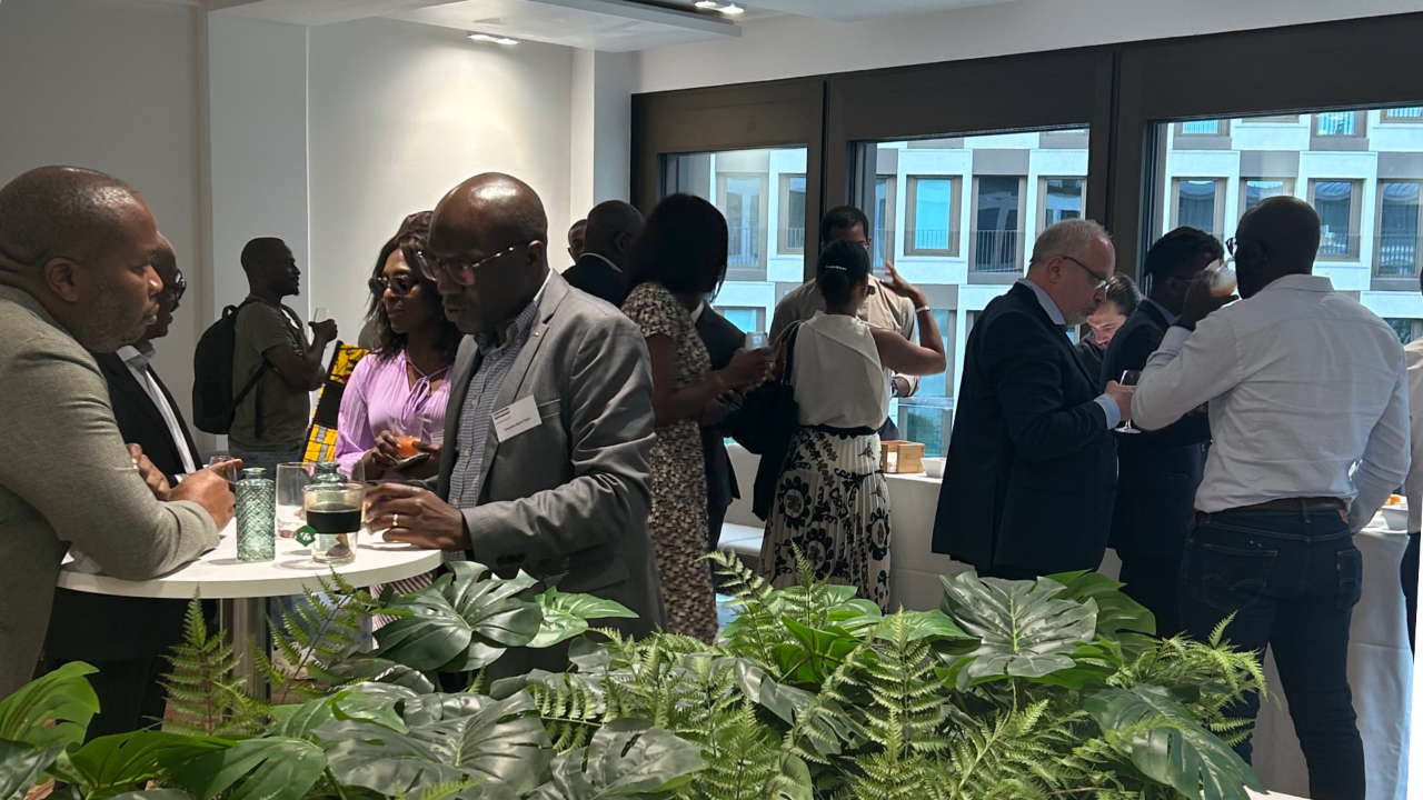 Les tendances du marché de la transition en Afrique