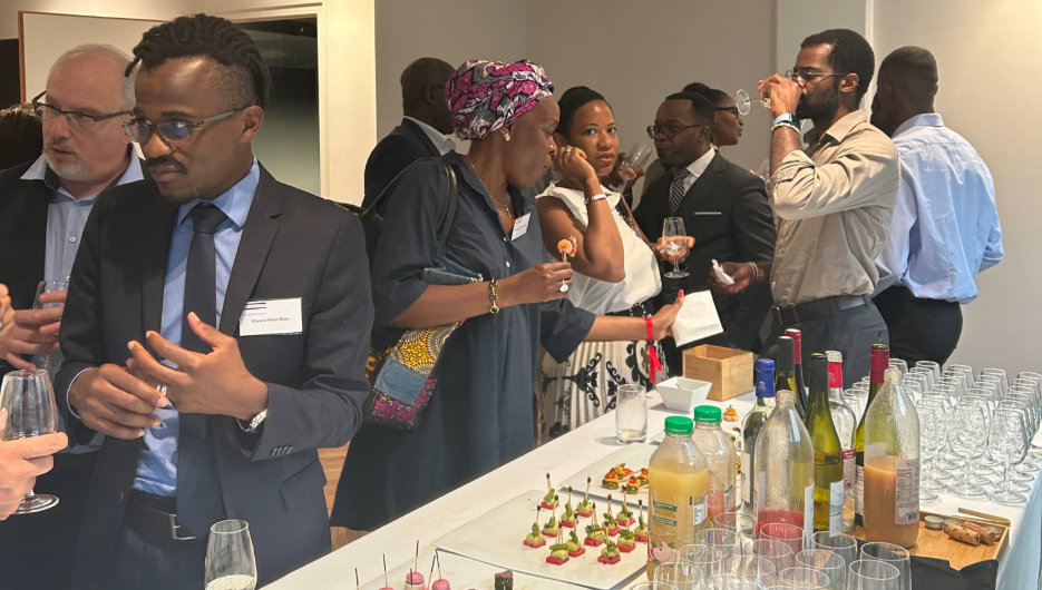Les tendances du marché de la transition en Afrique